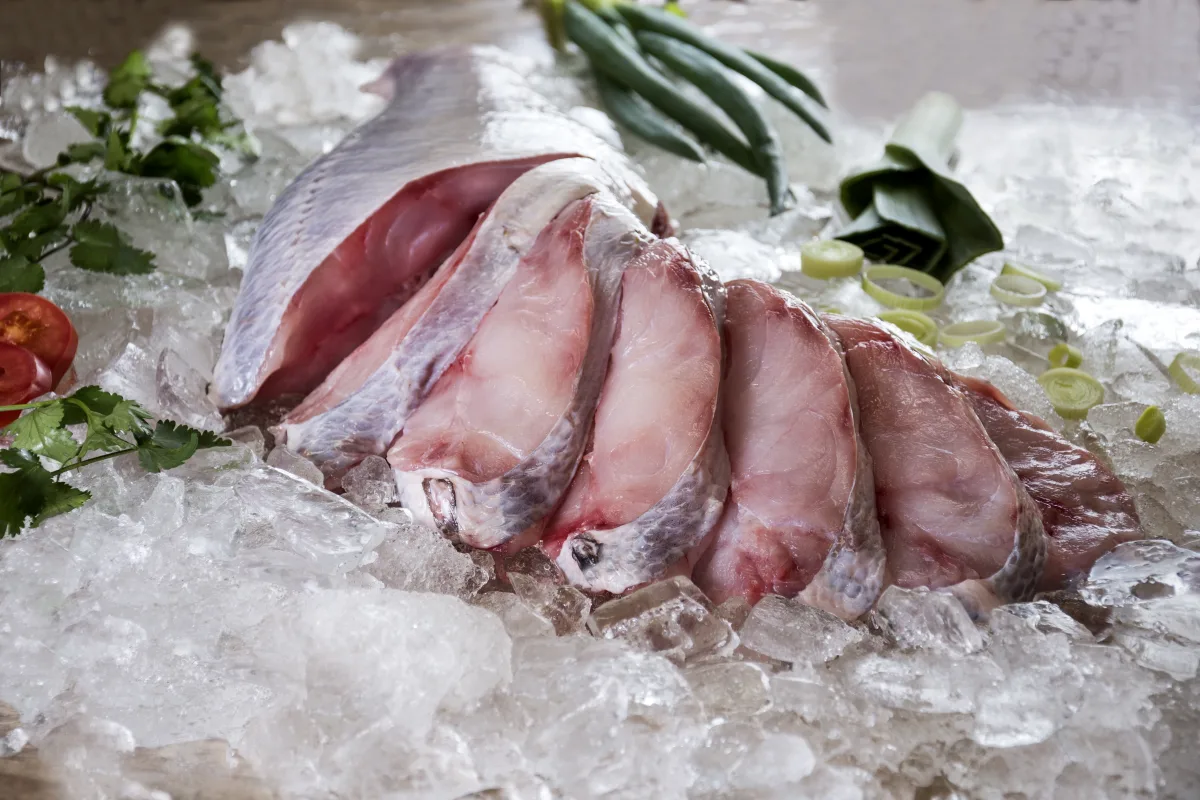 Postas de Peixes