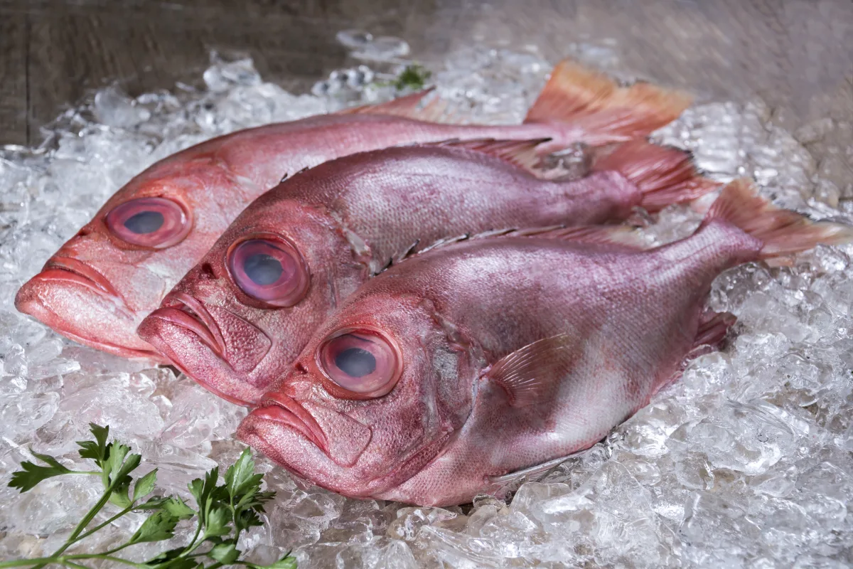 Peixes Inteiros