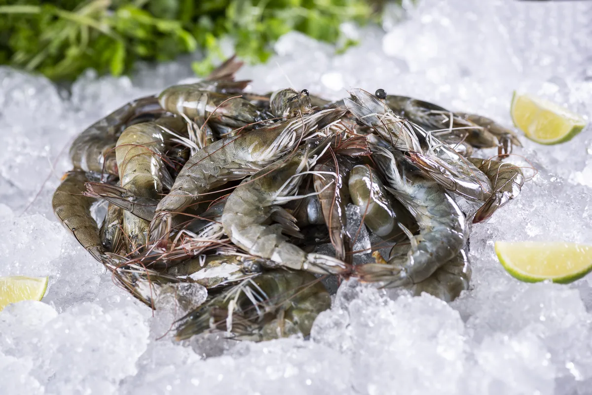 Crustáceos, Mariscos e Outros
