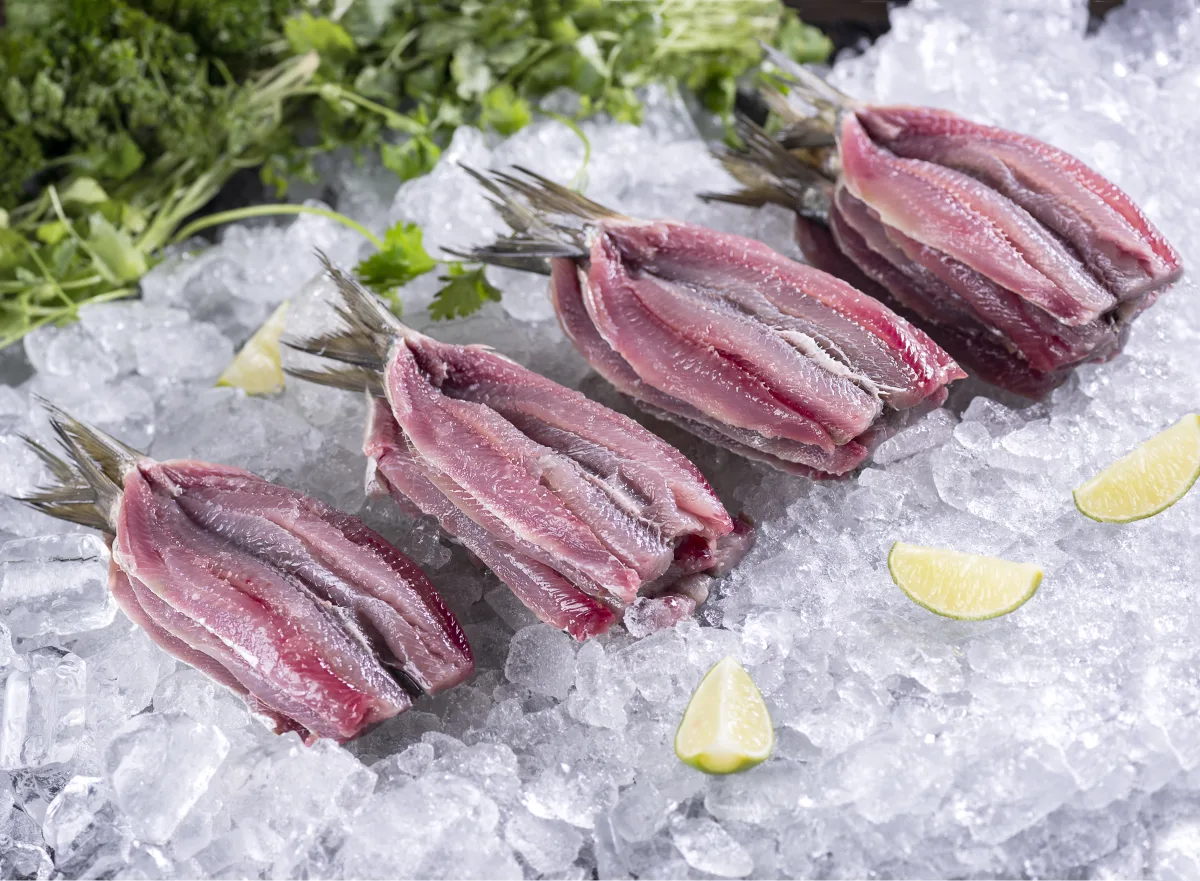 Filé de Sardinha